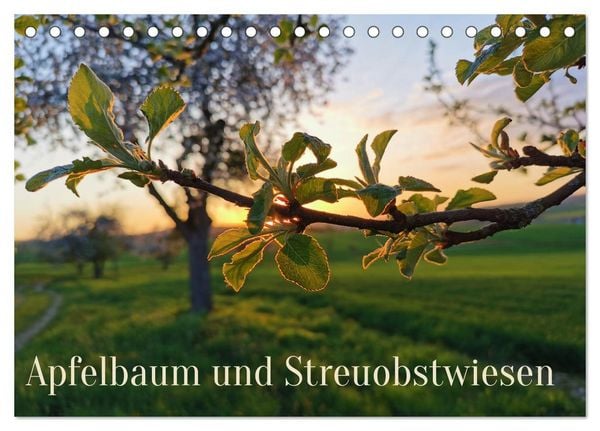 Apfelbaum und Streuobstwiesen (Tischkalender 2026 DIN A5 quer), CALVENDO Monatskalender