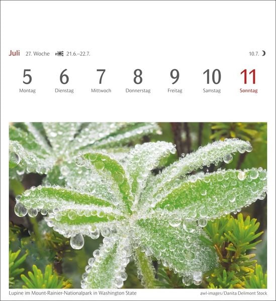 Produktbild: Farben der Natur Postkartenkalender 2027 - Wochenkalender mit 53 Postkarten