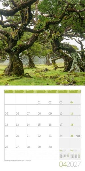Produktbild: Zauber des Waldes Kalender 2027 - 30x30 - Art12