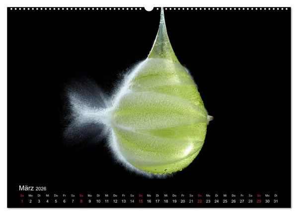 Produktbild: Ballistik Highspeed Fotos (Wandkalender 2026 DIN A2 quer), CALVENDO Monatskalender