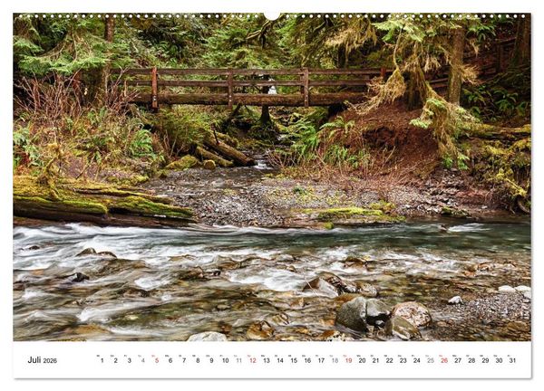 Produktbild: The Olympic National Park - Washington USA (Wandkalender 2026 DIN A2 quer), CALVENDO Monatskalender