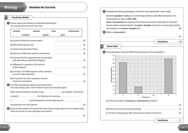 Produktbild: Collins New Key Stage 3 Revision -- Science Year 9: Workbook