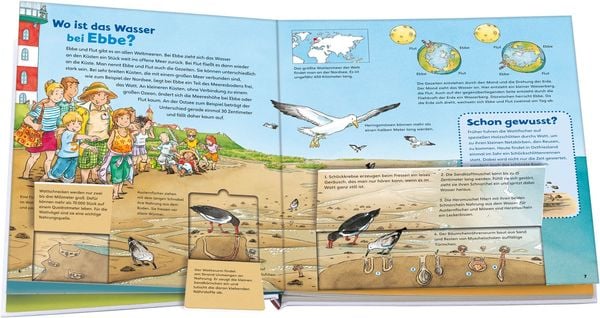 Das Meer / Was ist was junior Bd. 17