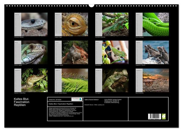 Produktbild: Kaltes Blut. Faszination Reptilien (Wandkalender 2026 DIN A2 quer), CALVENDO Monatskalender