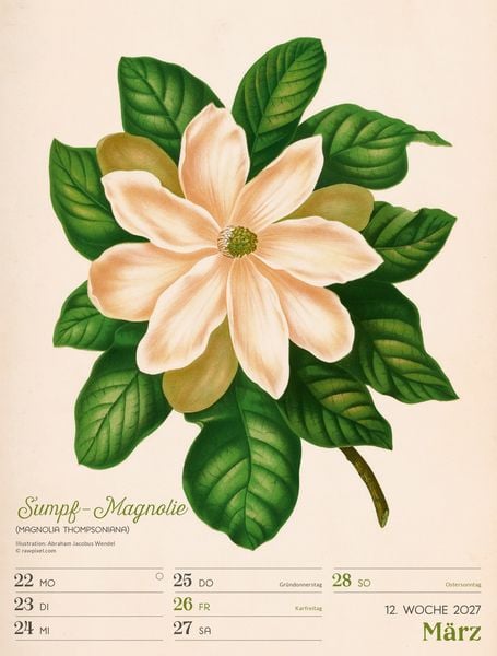 Produktbild: Ars Floralis Wochenplaner Kalender 2027