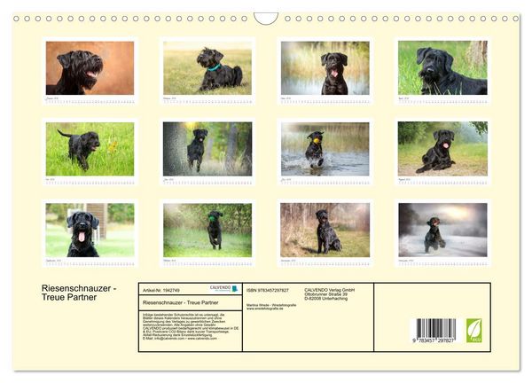Produktbild: Riesenschnauzer - Treue Partner (Wandkalender 2026 DIN A3 quer), CALVENDO Monatskalender