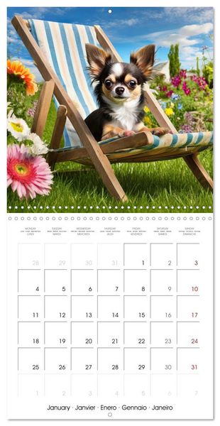 Produktbild: Chilling Chihuahuas (Wall Calendar 2027 12 &times; 12 Inch) CALVENDO 12 Month Wall Calendar