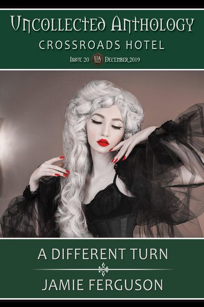 Produktbild: A Different Turn (Uncollected Anthology, #20)