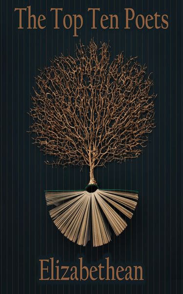 Produktbild: The Top 10 Poets - The Elizabethans