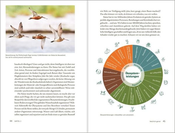 Produktbild: Kann KI die Natur retten?