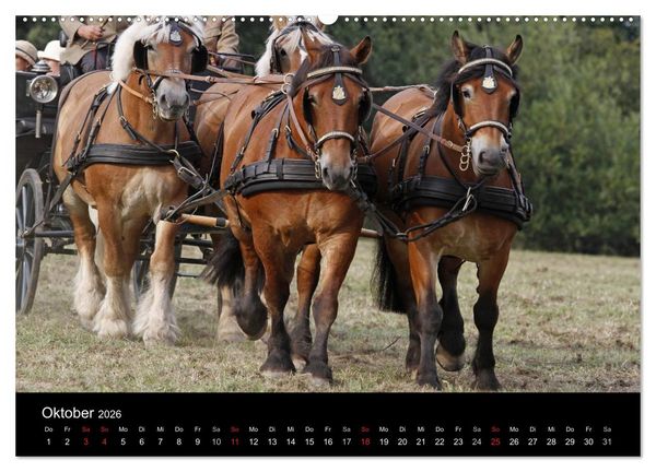 Produktbild: Starke Pferde bei der Arbeit (Wandkalender 2026 DIN A2 quer), CALVENDO Monatskalender
