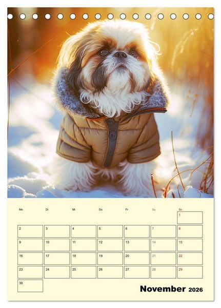 Produktbild: Shih Tzu Alarm. Gl&uuml;ckliche Wuschelk&ouml;pfe (Tischkalender 2026 DIN A5 hoch), CALVENDO Monatskalender