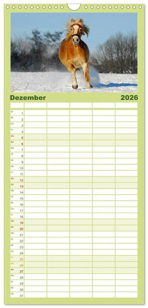 Produktbild: Familienplaner 2026 - Welt der Pferde mit 5 Spalten (Wandkalender, 21 x 45 cm) CALVENDO