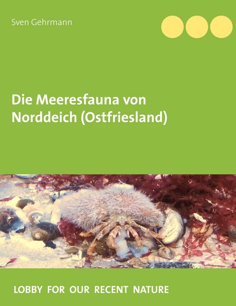 Produktbild: Die Meeresfauna von Norddeich (Ostfriesland)
