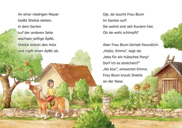 Produktbild: Sheltie, B&uuml;cherhelden 1. Klasse, Sheltie und die Katzenbabys