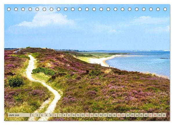 Produktbild: SYLT D&uuml;nenwege (Tischkalender 2026 DIN A5 quer), CALVENDO Monatskalender