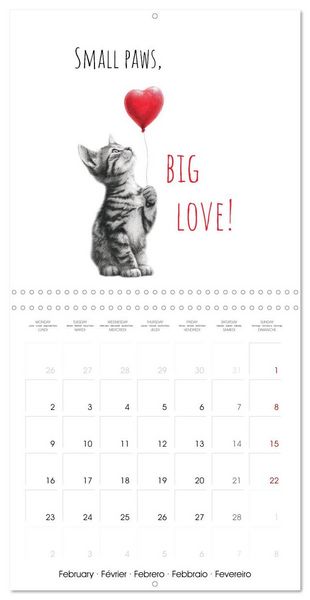 Produktbild: Purrfectly Cool Cats (Wall Calendar 2026 12 &times; 12 Inch) CALVENDO 12 Month Wall Calendar