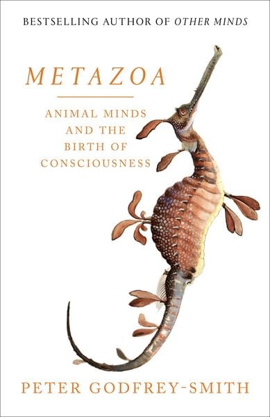 Produktbild: Metazoa