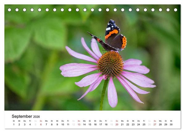 Produktbild: Mein Jahr im Landhausgarten (Tischkalender 2026 DIN A5 quer), CALVENDO Monatskalender
