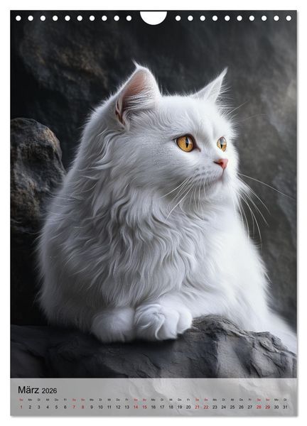 Produktbild: Katzen (Wandkalender 2026 DIN A4 hoch), CALVENDO Monatskalender