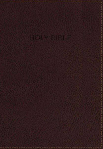 Produktbild: Foundation Study Bible-NIV