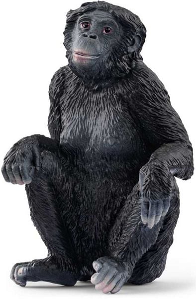 Produktbild: schleich&reg; 14875 Bonobo Weibchen, Affe