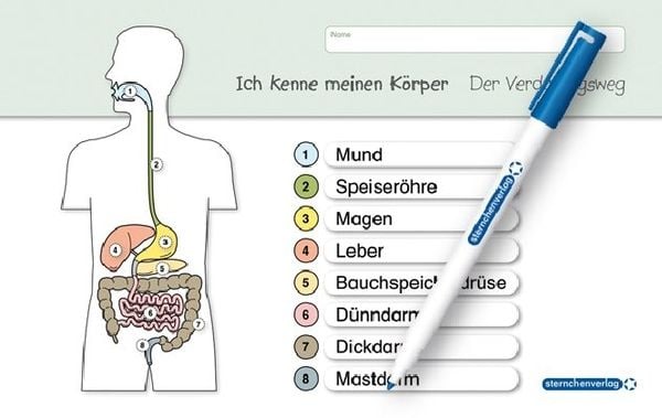 Produktbild: Ich kenne meinen K&ouml;rper - Der Verdauungsweg