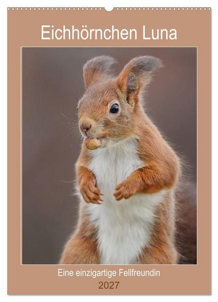Produktbild: Eichh&ouml;rnchen Luna (Wandkalender 2027 DIN A2 hoch), CALVENDO Monatskalender