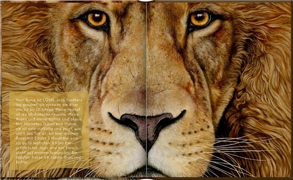 Freundebuch: Lebensgr.-Wilde Tiere Afrikas - Meine Freunde