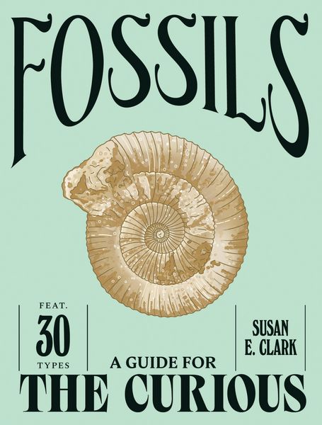 Produktbild: Fossils