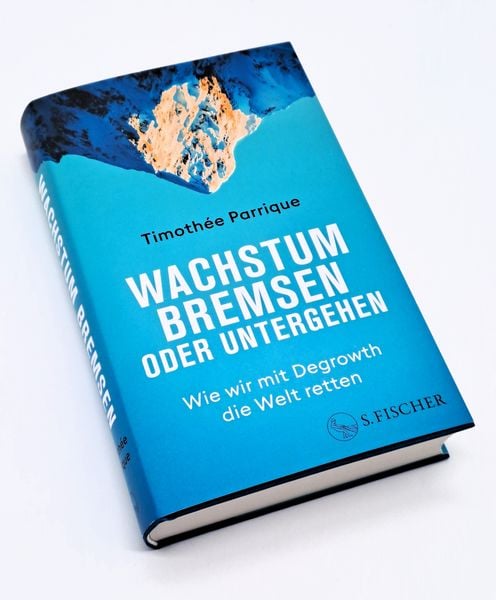 Produktbild: Wachstum bremsen oder untergehen