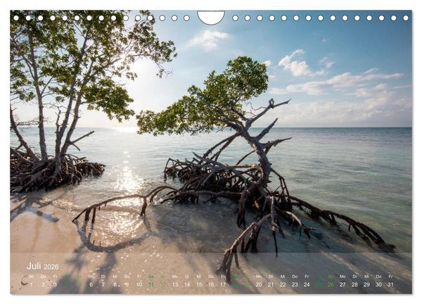 Produktbild: KUBA - Eine Zeitreise (Wandkalender 2026 DIN A4 quer), CALVENDO Monatskalender