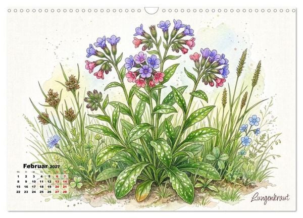 Produktbild: Wilde Kostbarkeiten &ndash; Essbar, gesund & wundersch&ouml;n (Wandkalender 2027 DIN A3 quer), CALVENDO Monatskalender