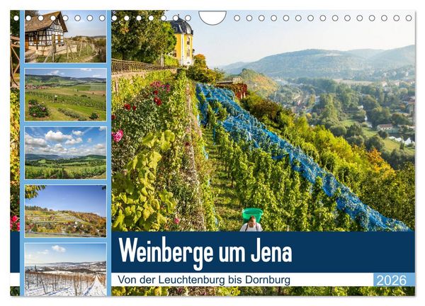 Produktbild: Weinberge um Jena (Wandkalender 2026 DIN A4 quer), CALVENDO Monatskalender