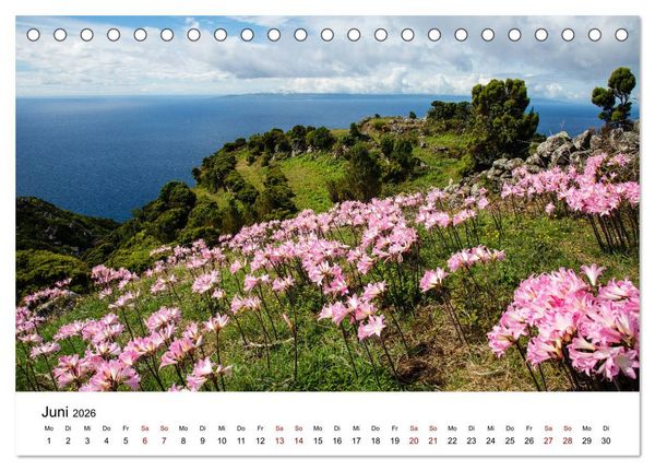 Produktbild: Azoren - Inseln im Atlantik (Tischkalender 2026 DIN A5 quer), CALVENDO Monatskalender