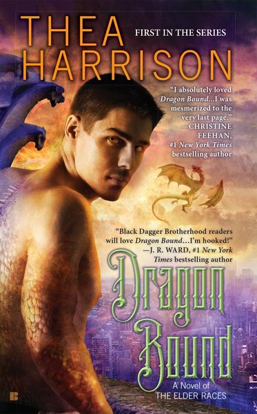 Produktbild: Dragon Bound