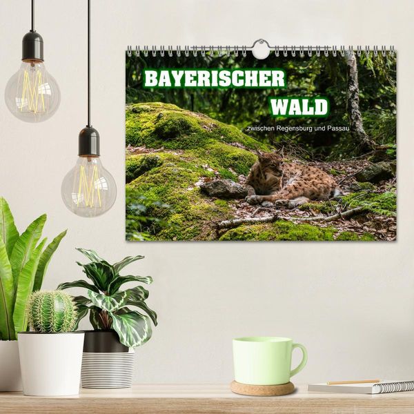 Produktbild: Bayerischer Wald (Wandkalender 2026 DIN A4 quer), CALVENDO Monatskalender