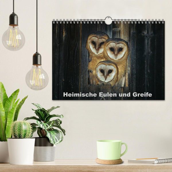 Produktbild: Heimische Eulen und Greife (Wandkalender 2026 DIN A4 quer), CALVENDO Monatskalender