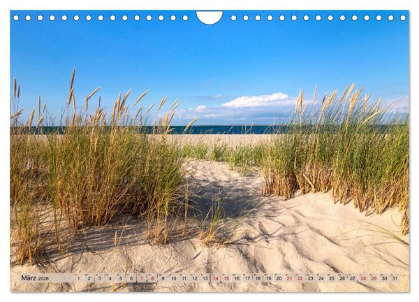 Produktbild: IN SYLT VERLIEBT (Wandkalender 2026 DIN A4 quer), CALVENDO Monatskalender