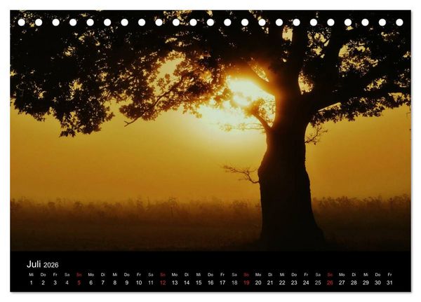 Produktbild: Faszination Wald. Waldimpressionen aus Nordhessen von Lutz Klapp (Tischkalender 2026 DIN A5 quer), CALVENDO Monatskalender