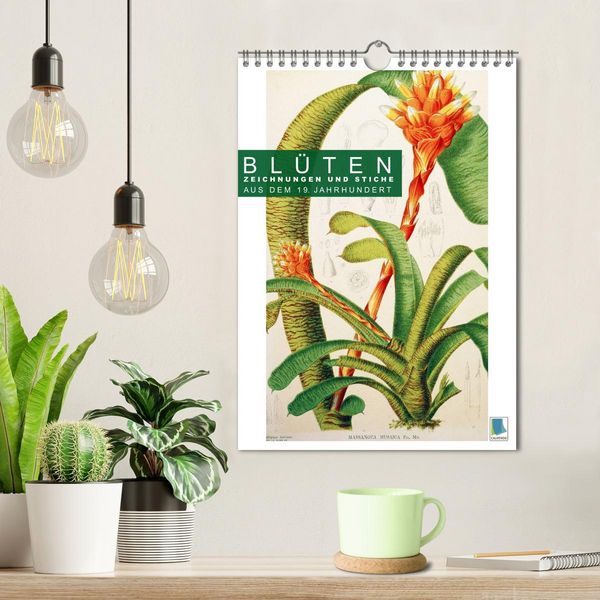 Produktbild: Bl&uuml;ten: Zeichnungen und Stiche aus dem 19. Jahrhundert (Wandkalender 2026 DIN A4 hoch), CALVENDO Monatskalender