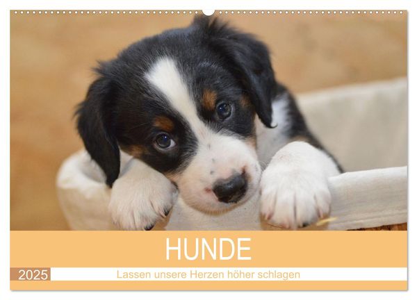 HUNDE - Lassen unsere Herzen höher schlagen (Wandkalender 2025 DIN A2 quer), CALVENDO Monatskalender