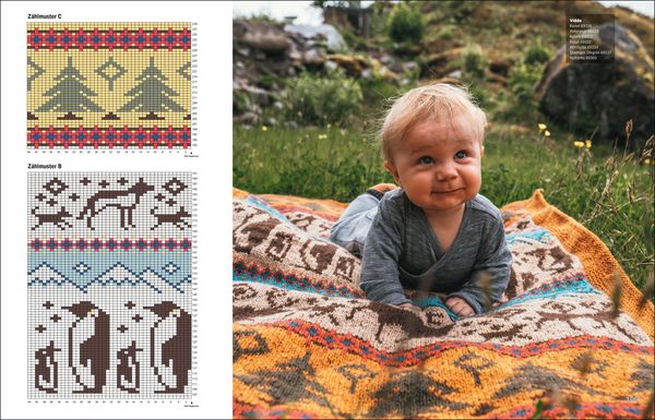 Einfach nordisch stricken – Decken, Kissen & Co.