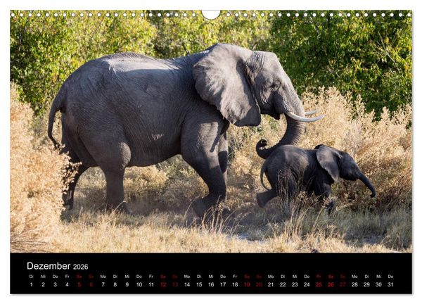 Produktbild: Afrika - Faszination Tierwelt (Wandkalender 2026 DIN A3 quer), CALVENDO Monatskalender