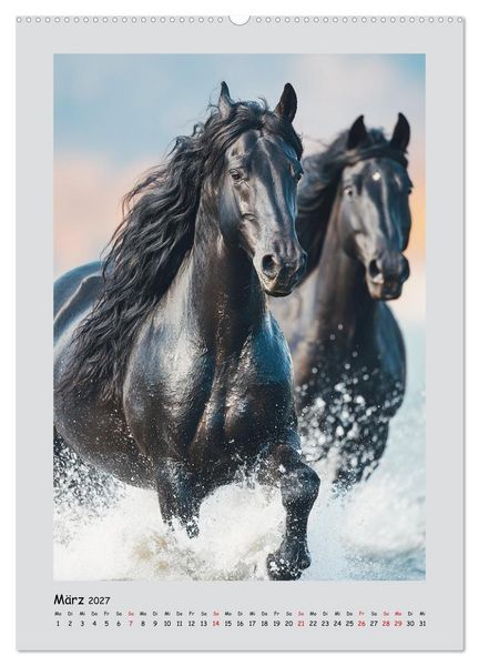 Produktbild: Friesenpferde. Schwarze Eleganz in der Natur (hochwertiger Premium Wandkalender 2027 DIN A2 hoch), Kunstdruck in Hochglanz