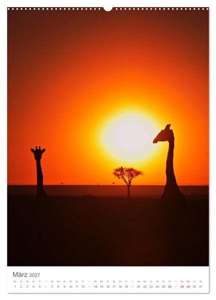 Produktbild: Magie des Augenblicks - Giraffen - Riesen der Savanne (Wandkalender 2027 DIN A2 hoch), CALVENDO Monatskalender