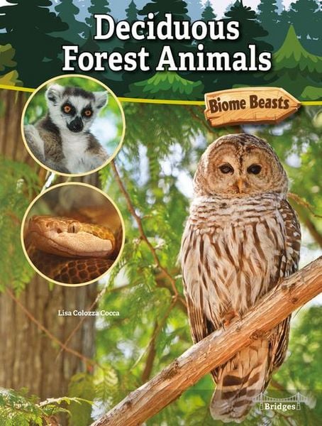 Produktbild: Deciduous Forest Animals
