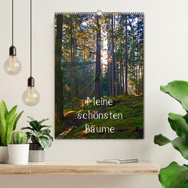 Produktbild: Meine sch&ouml;nsten B&auml;ume (Wandkalender 2026 DIN A2 hoch), CALVENDO Monatskalender