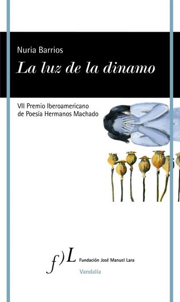 Produktbild: La luz de la dinamo