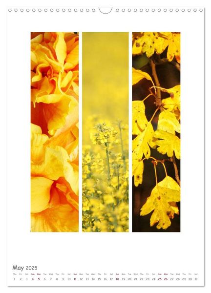 Produktbild: Colours of Nature - Triptycha (Wall Calendar 2025 DIN A3 portrait), CALVENDO 12 Month Wall Calendar